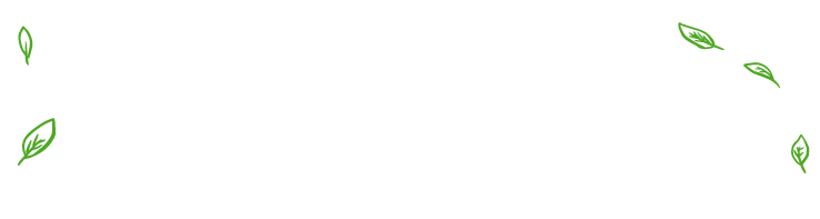 Easy Market - Compose