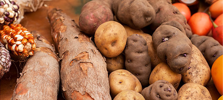 Taro, manioc, patate douce, igname, … : des tubercules aux 1000 vertus.