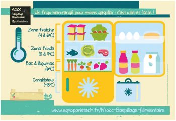 Ranger son frigo, tout un art !
